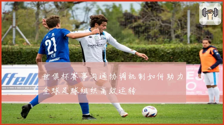 世俱杯赛事沟通协调机制如何助力全球足球组织高效运转