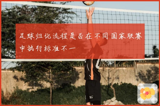 足球归化流程是否在不同国家联赛中执行标准不一