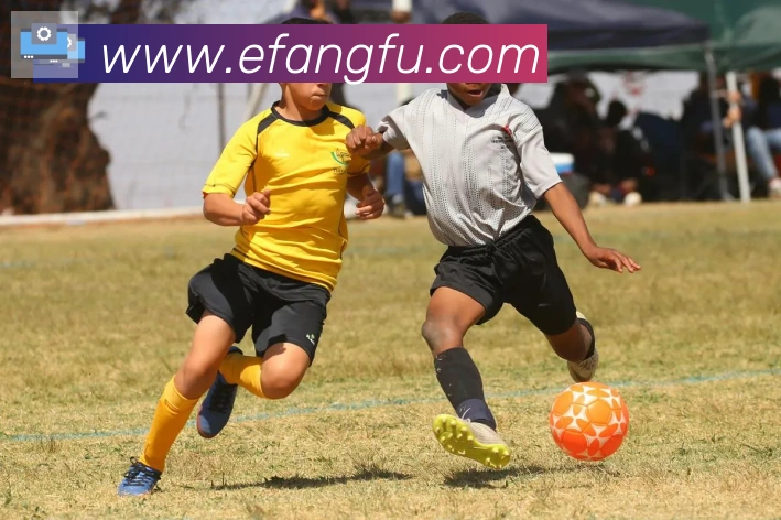 云开全站app登录网页入口APP 封面图