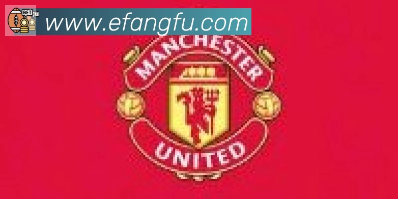 云开全站app登录网页入口合作伙伴